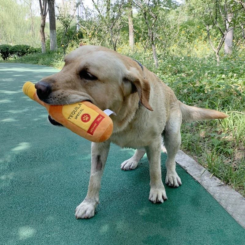 1oltH2816da064aaa46758c39774ff240f516P